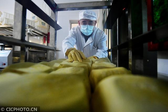 卤水豆腐|山东青岛：卤水豆腐迎新年