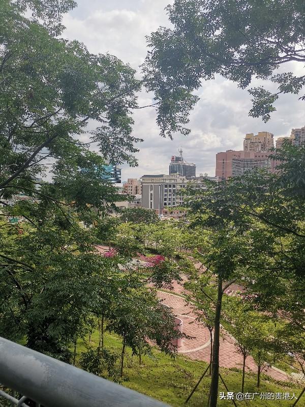 【山楂味的诗】走马观花,看顺德大良。