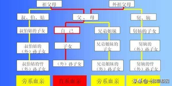 染色体|“近亲结婚”的危害到底有多大？