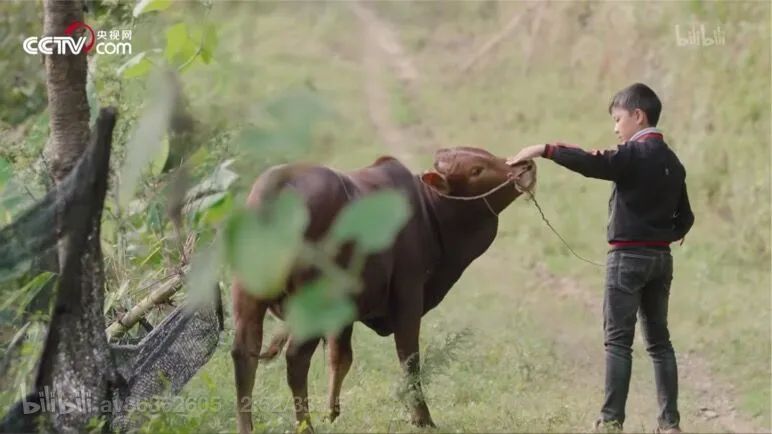 栀蓝：让1000万人又笑又哭的“人生第一次”：我们的孩子，好像一眨眼就长大了