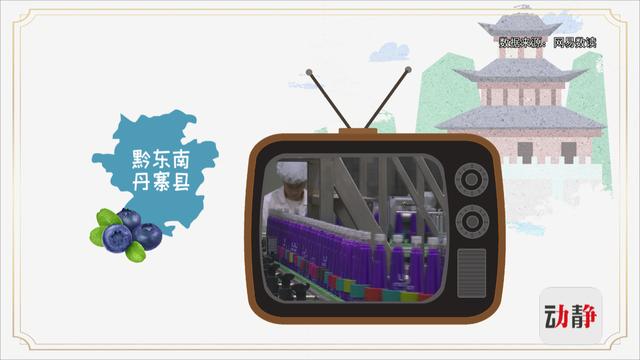 动静有数丨想不到，贵州这些水果都能做酒