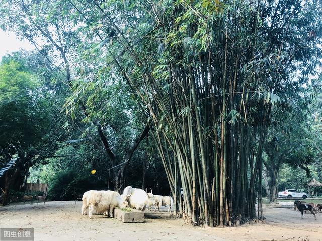「你的育儿经」带孩子出游是“浪费钱”吗?国内这八个亲子旅游的热门地值得走走