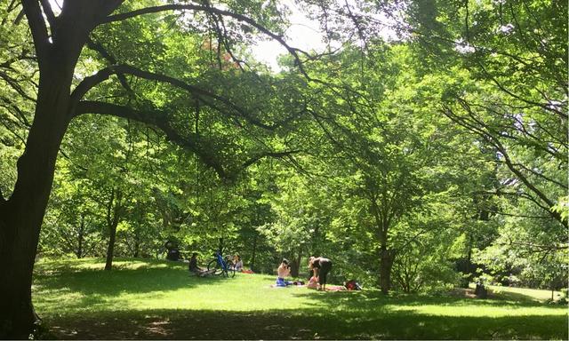 【趣旅游】蒙特利尔westmount公园