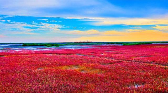 玩乐足迹@浪漫红色海岸线 盘锦旅游金名片