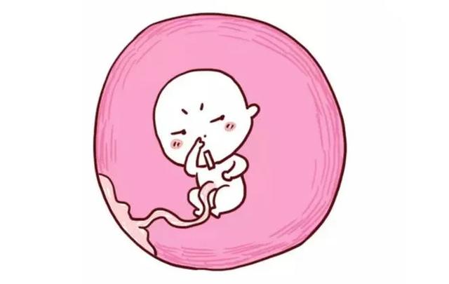 超级宝妈|做四维彩超被告知胎儿“股骨短”，是说宝宝小短腿么？真不一定