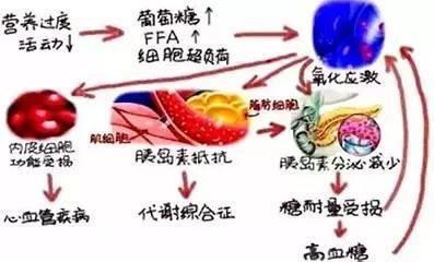 二甲双胍|降“三高”的药物里，哪些可以降尿酸？