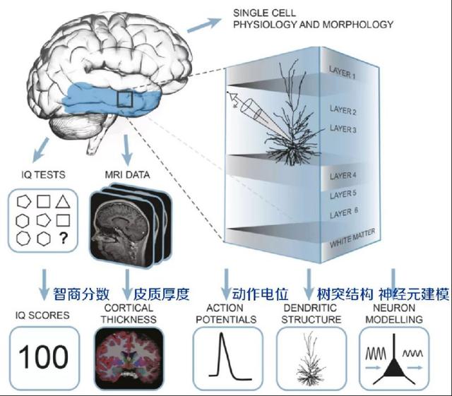 超级宝妈|园长说｜童林伯伯：影响幼儿智力发展的八大要素