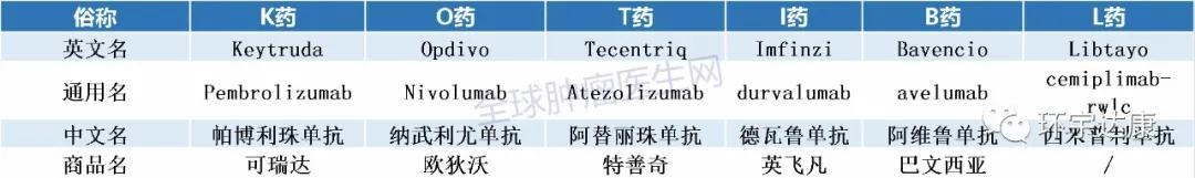 干货｜全球上市的十大PD-1/L1用药信息大盘点！2020版