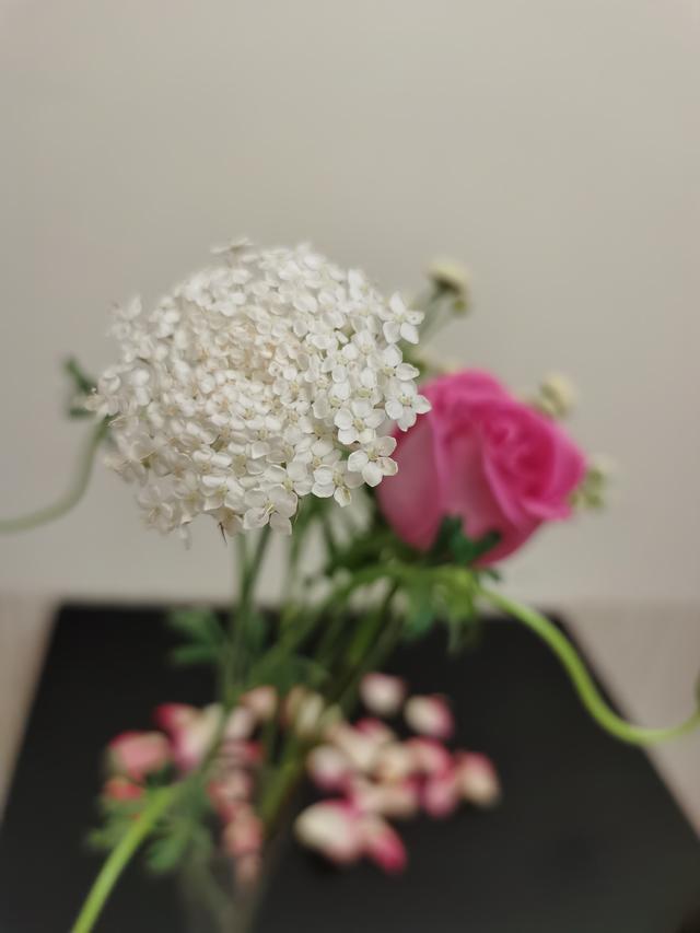 超级宝妈：只看这一篇，孕妇贫血的食补统统掌握