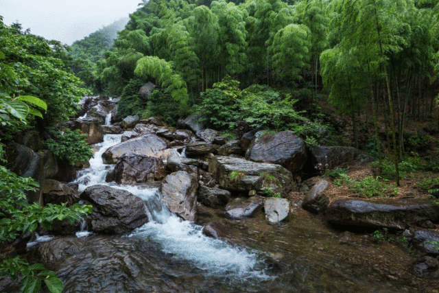 找到一个 没有拥堵和人山人海 只有清新的空气和原生态环境 溪水潺潺
