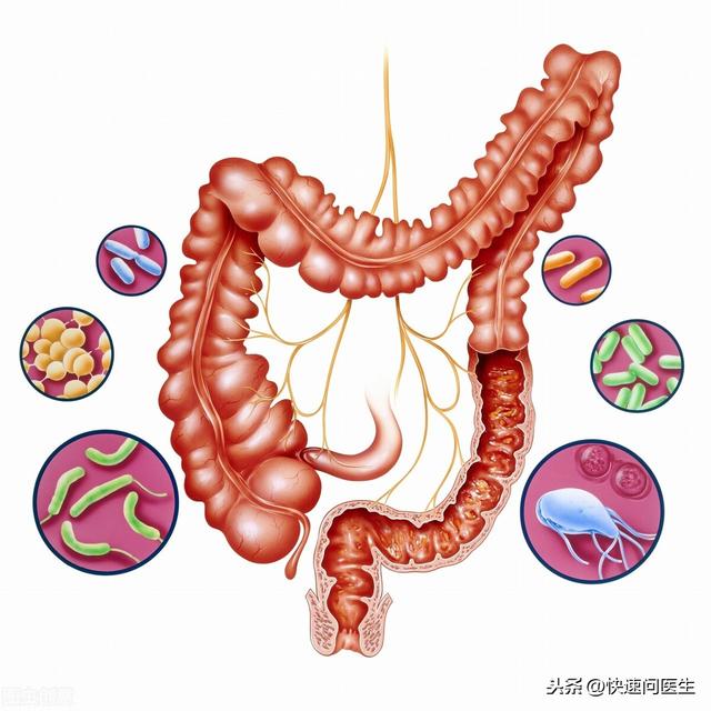 肛门坠胀难受，老有便意却拉不出来？可能是这四种原因所致