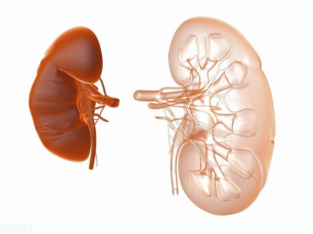 身体3处发黄、2处发臭，这是肾脏在给你发送信号，要注意
