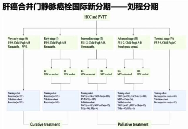 肝癌合并门静脉癌栓，系统治疗还是手术治疗？