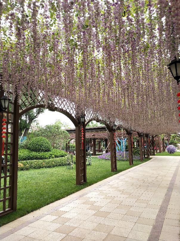 『万丈光芒』西安孩子夏天去哪玩？开车一小时，新增童世界距离乐华城10分钟。