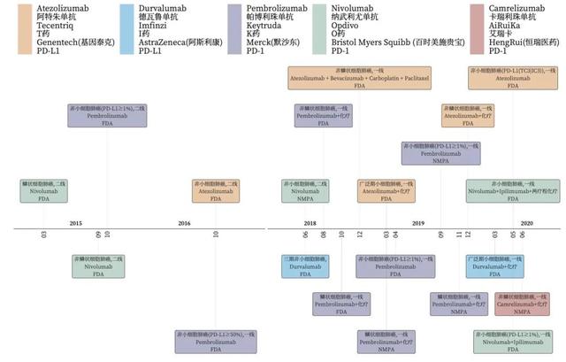 肺癌如何选择PD-1/PD-L1药物？这里有一份最新指南