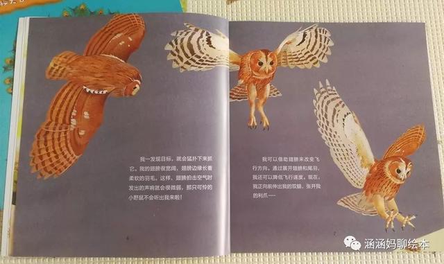 「超级宝妈」让这4种力量，引爆孩子内驱力