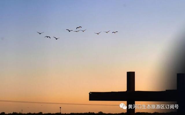 「趣旅游」每日一景 |春的律动