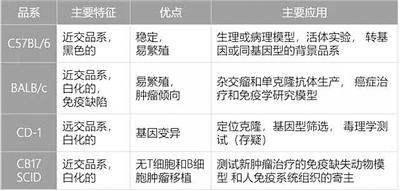 「环球网」为什么实验室用小白鼠做科研？与人类基因高度相似