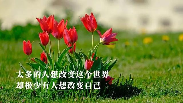 人心之烦，烦在计较；人生之苦，苦在执着；人生之难，难在放下