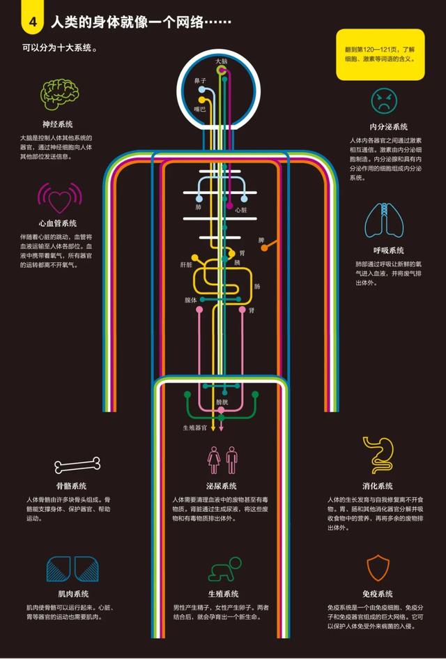 如果你的孩子对世界充满好奇……