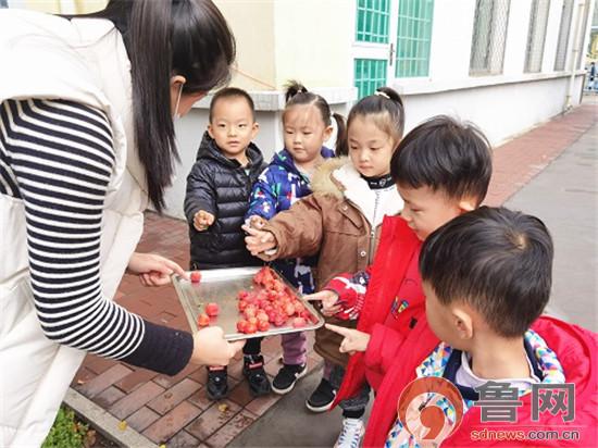 孩子|淄博淄川区实验幼儿园开展海棠果主题活动