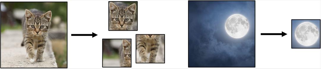 Glance and Focus: 通用、高效的神经网络自适应推理框架