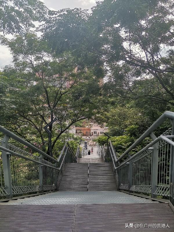 【山楂味的诗】走马观花,看顺德大良。