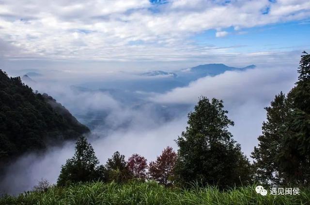 旅行百事通■国家级森林乡村！闽侯有5个村庄上榜