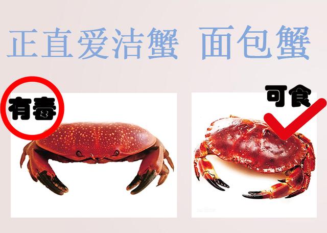#健康零距离#错认食物误食中毒?在海南注意别误食这些,收藏