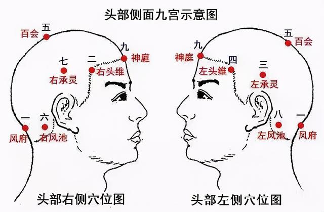 我国超2.5亿人受脱发困扰，这一届年轻人“秃”然慌了