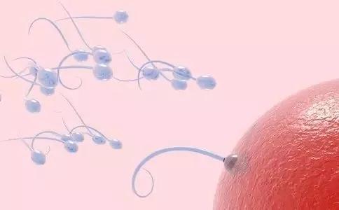 孕事生活▲孕晚期宝宝的拳脚施展不开啦#她健康计划#