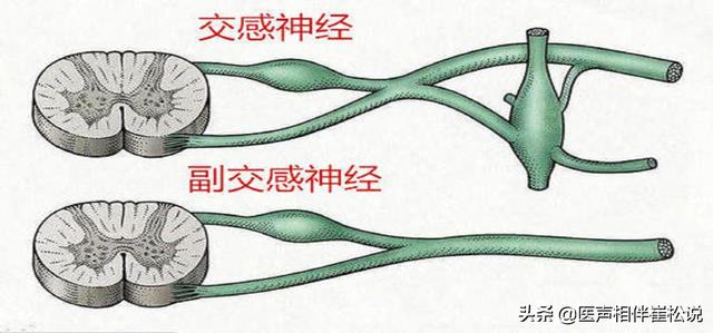 心理疾病|精神可以影响神经，到底是精神病还是神经病？