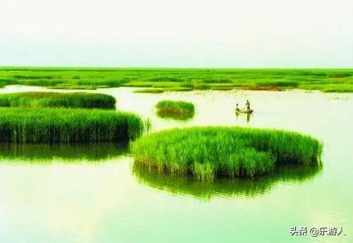 #行路万里#辽宁竟私藏了一片颜值超高的红海滩