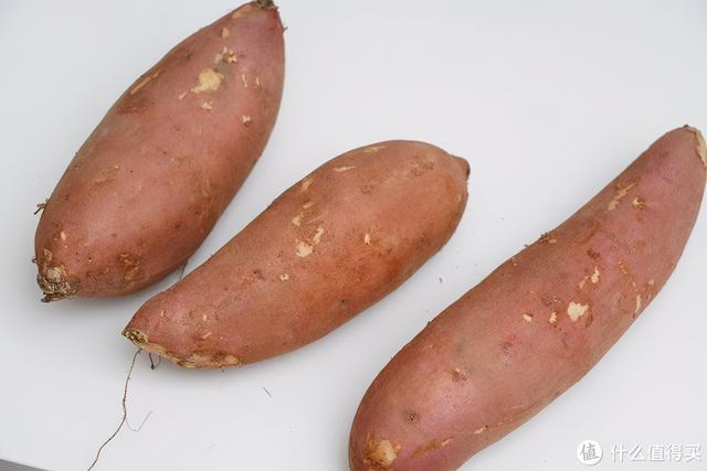 网红电蒸锅哪家强？老纪替您认真对比评测摩飞蒸炖锅&amp;北鼎蒸炖锅