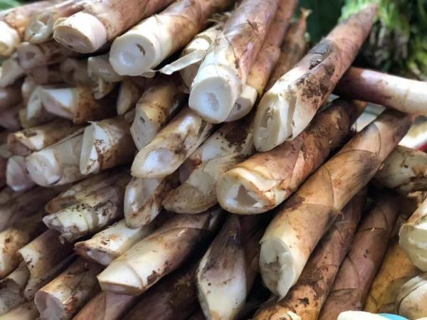 宁波|这口宁波人喜欢的鲜，最佳品尝季到了