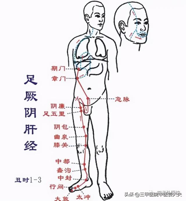 迈入中医之门第80篇：中医视角解读“肝病论治”