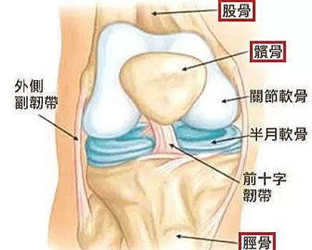 天冷腿疼关节疼？对付“磨人”的膝骨关节炎，看看这个“新攻略”