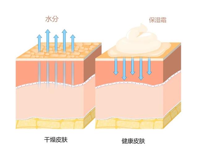 男默女泪，有多少人一入冬就脚跟干裂？