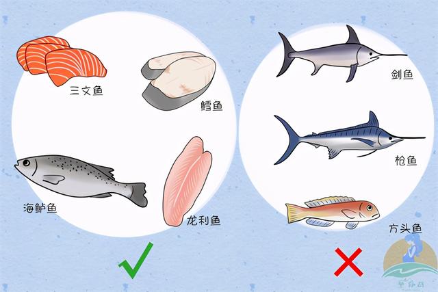 孕期吃鱼有助宝宝智力发育，但有三类鱼需当心，别坑了自己又坑娃