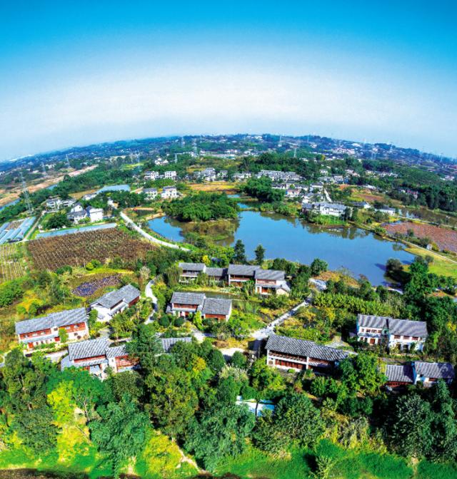 擦亮高质量发展生态底色 四川自贡沿滩区亮出“十三五”绿色成绩单