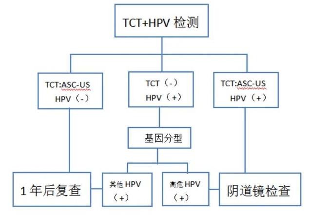 备孕，宫颈筛查有必要吗？