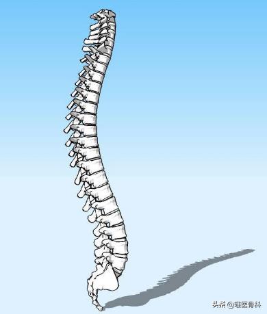 驼背|老年人为什么会驼背，而且越老越驼？