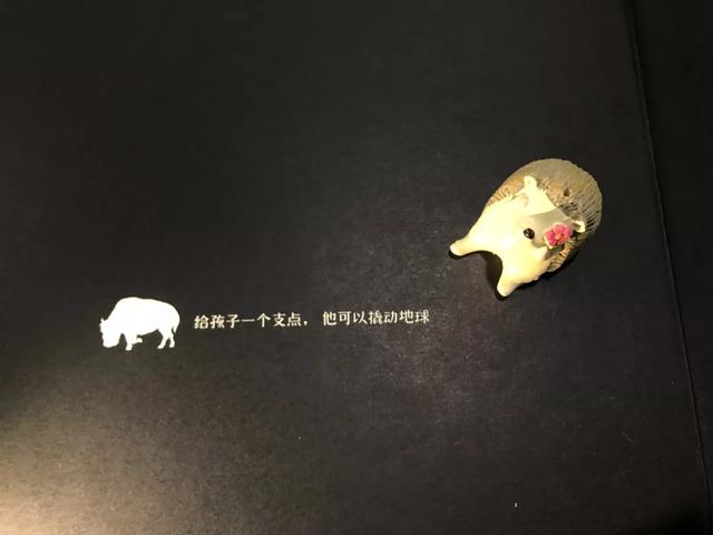 你的育儿经@教孩子,好奇心比知识更重要(中小学生家长必读)