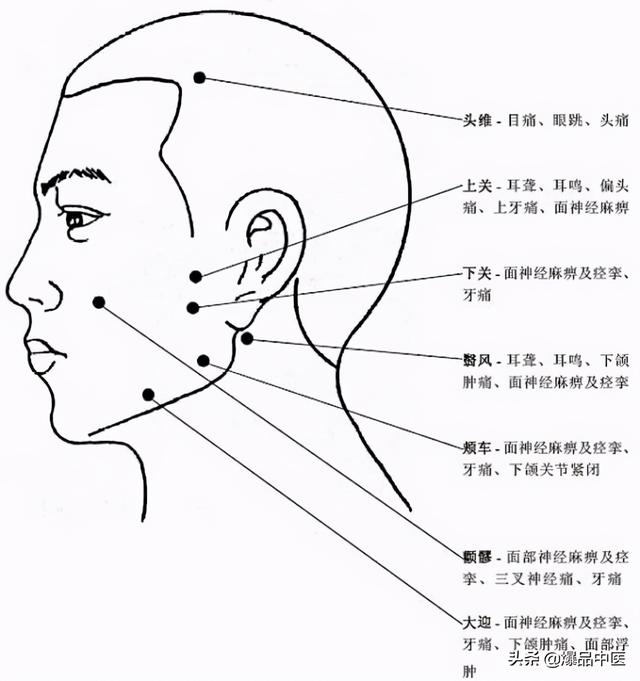 全身穴位治疗口诀大全，配图精华版