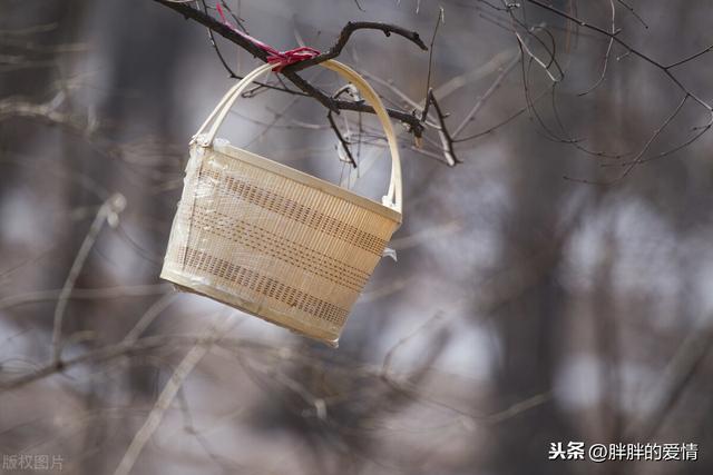 往事总会载上许多愁，越过记忆的闸门，让繁花开的七零八落憔悴损