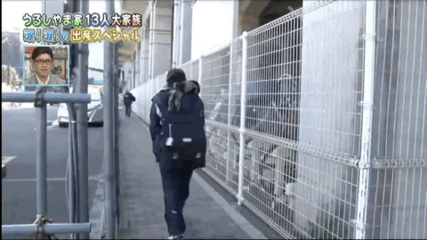 一路向北@结婚20年生11个娃！41岁妈妈带娃日常：5:00起床，0:50睡觉，有时只睡2小时.....