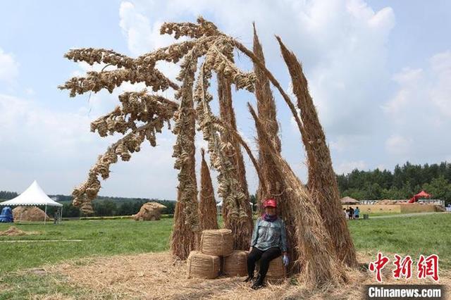 雕塑|全国高校大学生制作“稻草”雕塑群