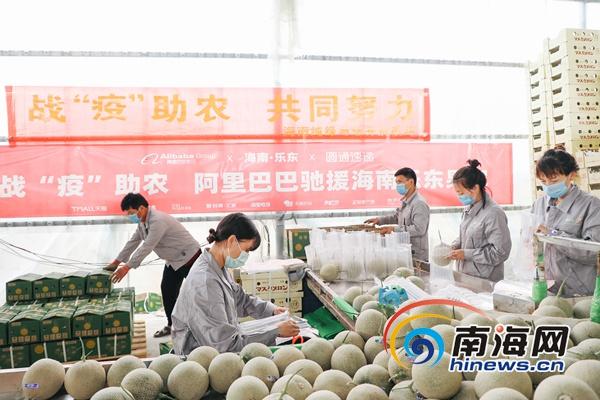 南海网■“直播带货”怎么玩？海南电商告诉你