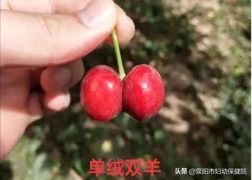「你的育儿经」“争地盘”,从妈妈肚子里开始