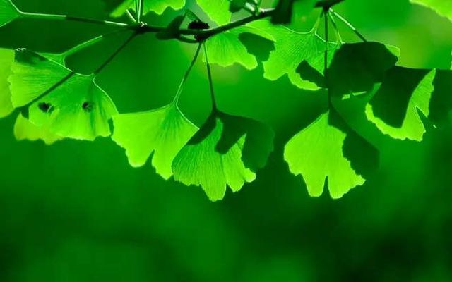 #超级宝妈#从孩子对色彩的喜恶，了解他的性格，方法就是这么简单